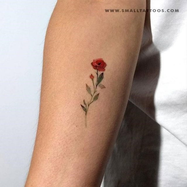 red rose temporary tattoo 1024×1024