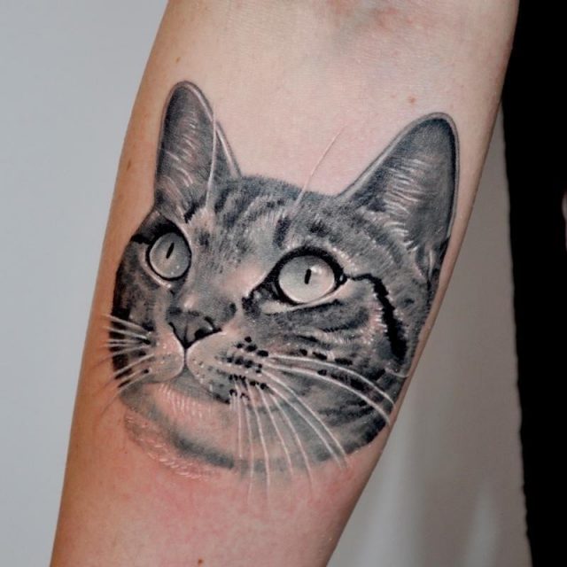 12 cat tattoo portrait