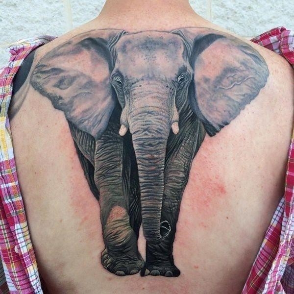 18200916 elephant tattoos