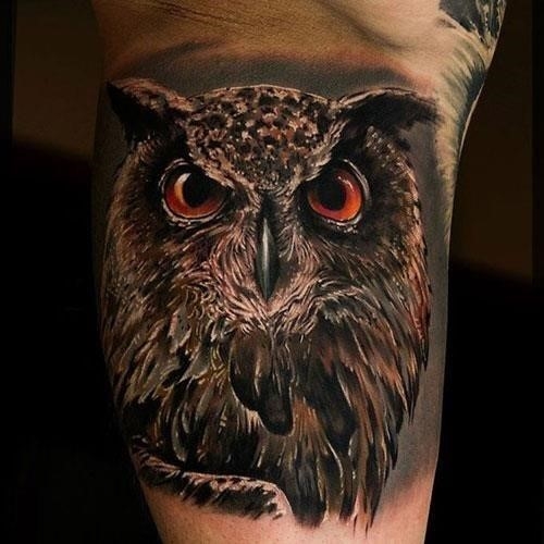 3D Realistic Owl Tattoo Designs