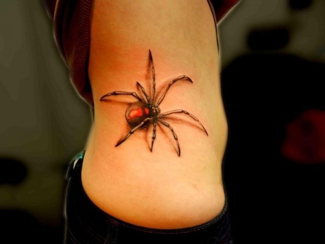 3D Spider Tattoo Pictures 1024×768