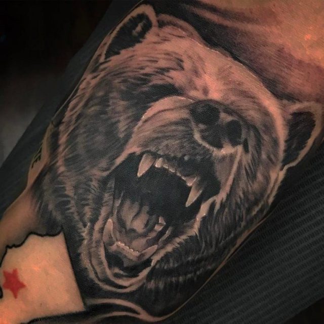 Bear Tattoo 80 765×765