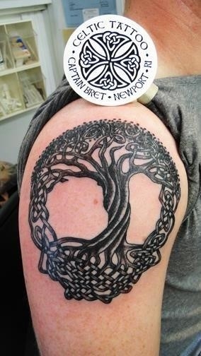 Black Ink Celtic Tree Of Life Tattoo On Man Right Shoulder