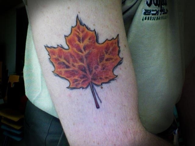 Canada Maple Leaf Tattoo On Bicep
