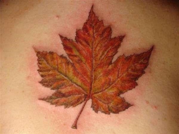 Canadian Maple Leaf Tattoo