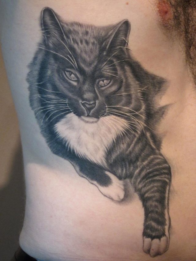 Cat Portrait Tattoo