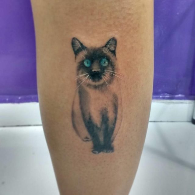 Cat Tattoo  7