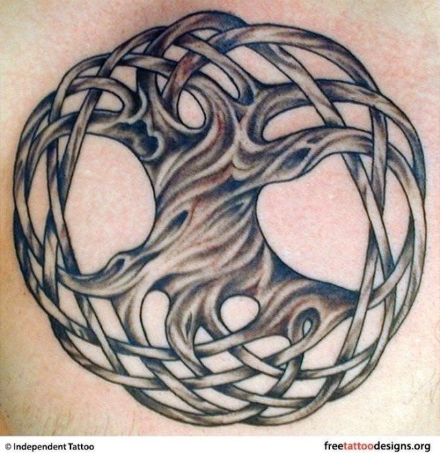 Celtic Tree Of Life Tattoo