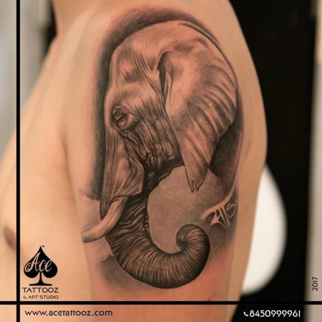 Elephant Face Tattoo