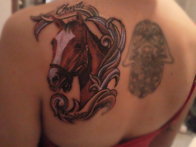 Horse Head Tattoo Designs