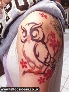 Owl Tattoo 5