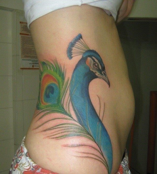 Peacock rib Tattoo