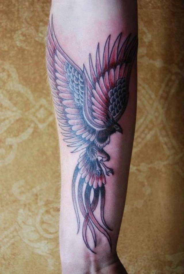 Phoenix Tattoo Ideas For Men And Women 18