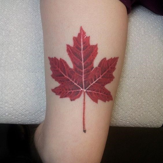 Red maple leaf tattoo