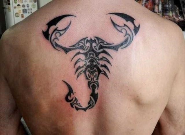 Scorpion Tattoo On Back TD2441
