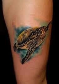 turtle tattoo meaning