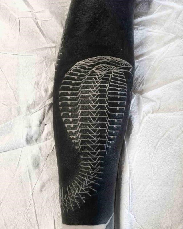 White Cobra Tattoo by Scott Campbell 728×909