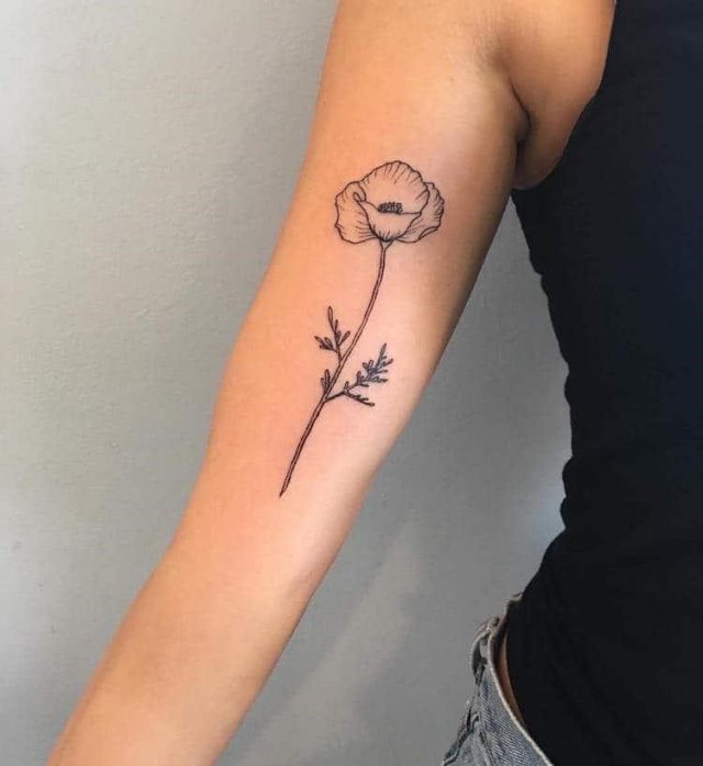 Anna sica arrowhead vegan tattoos 4