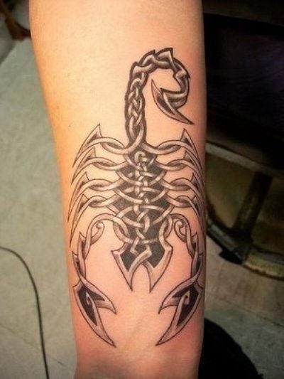 Attractive scorpio tattoo on arm