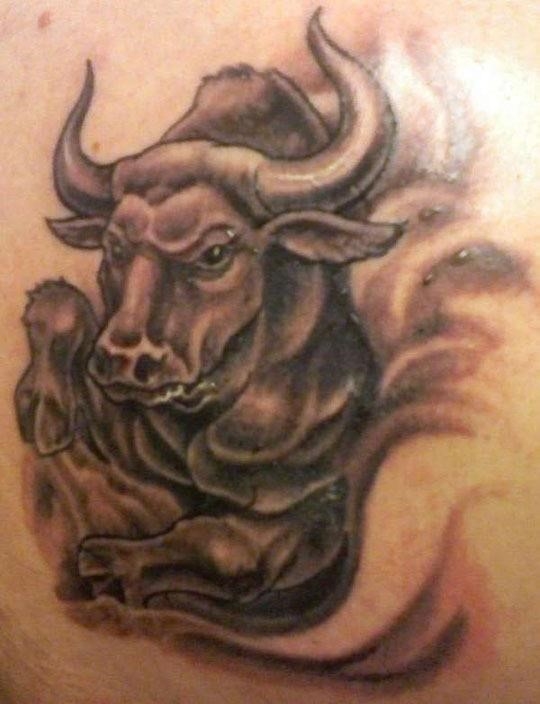 Bull tattoo art