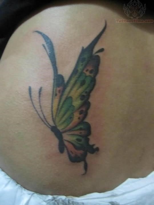 Butterfly tattoo on side rib