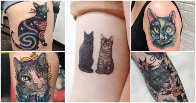 Cattoo image 1200×630