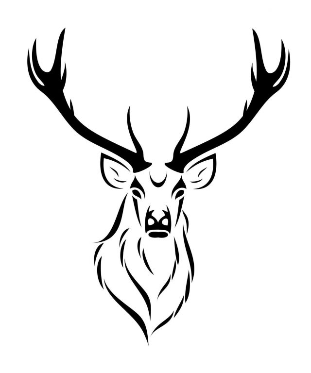 Deer skull drawing 110650 deer skull tattoo designs deer skull tattoo