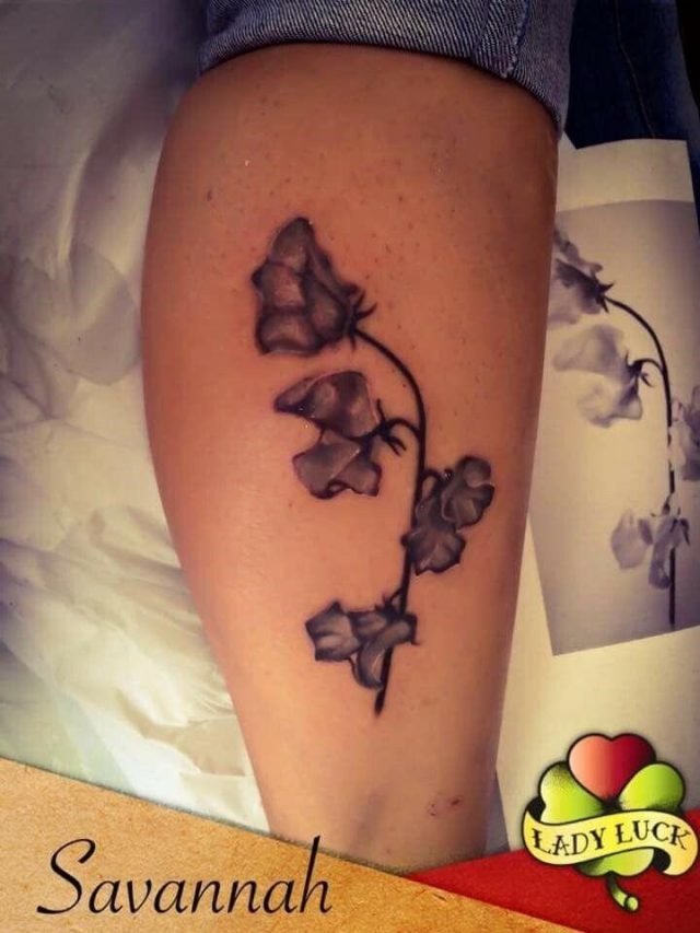 Ede871d7dafa1f9a559e66b318b96dd4  sweet pea flower tattoo sweet pea flowers