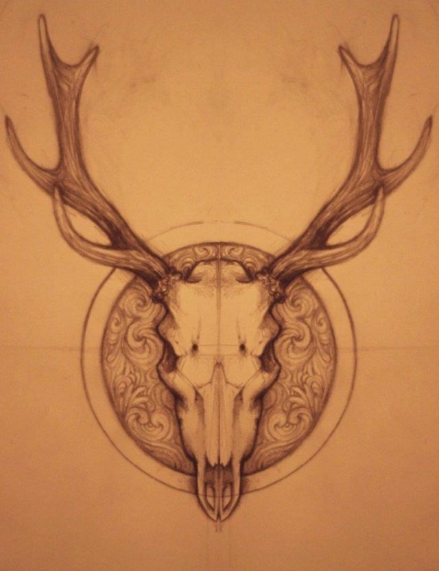 Elk skull drawing 64
