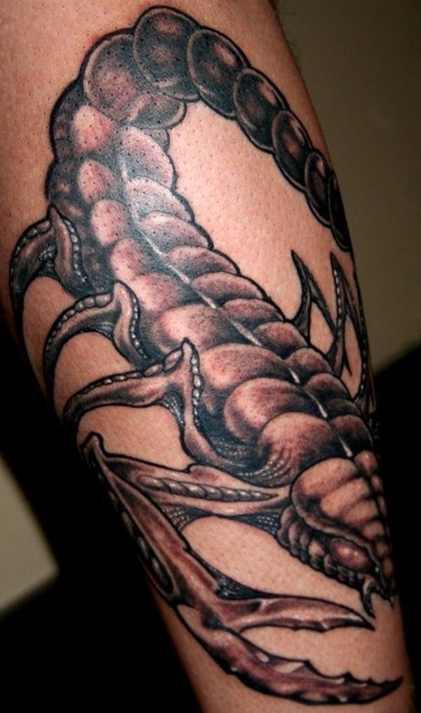 Fullsleeve scorpion tattoo