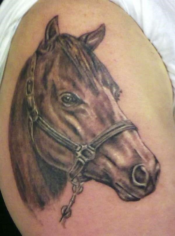Horse tattoo 3002