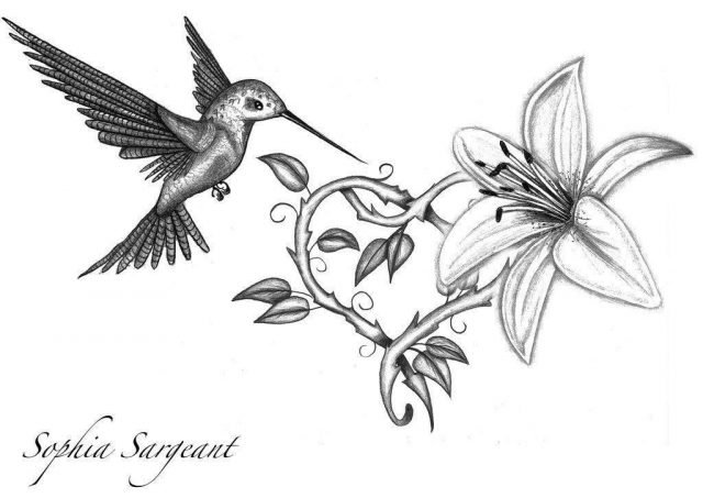 Hummingbird tattoo drawing 49