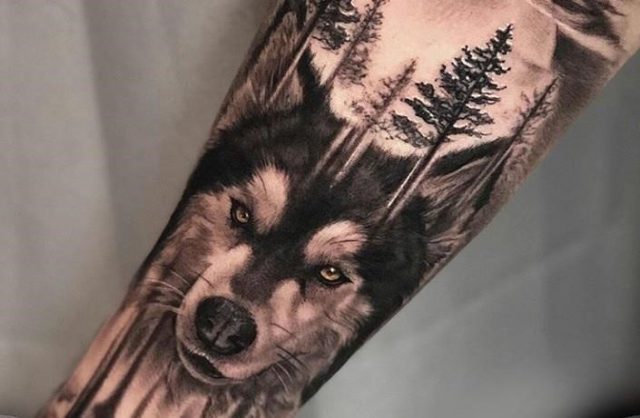 Husky arm design tattoo