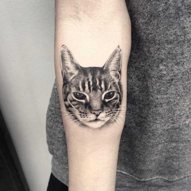 Hyperrealism cat tattoo