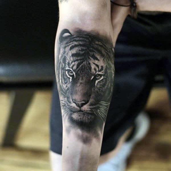 Incredible mens animal tiger tattoo on inner forearm