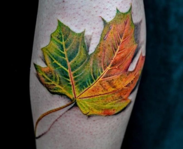 Maple leaf by winson