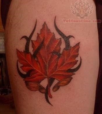 Maple leaf in thorns tattoo