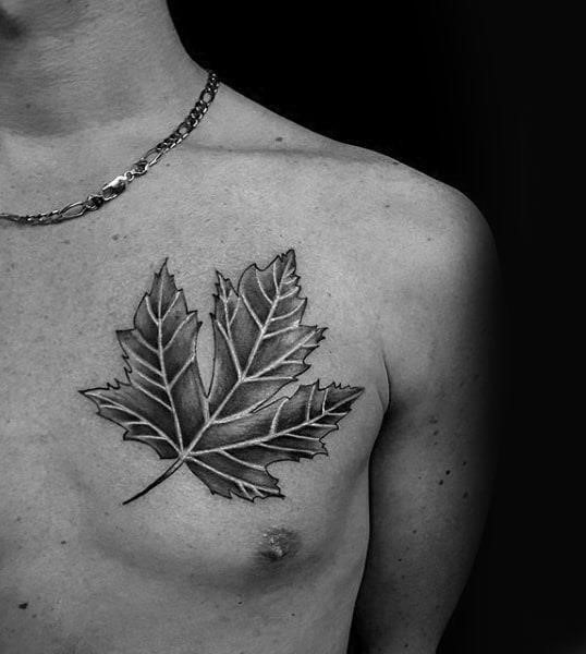 Mens black ink upper chest shaded maple leaf tattoo ideas