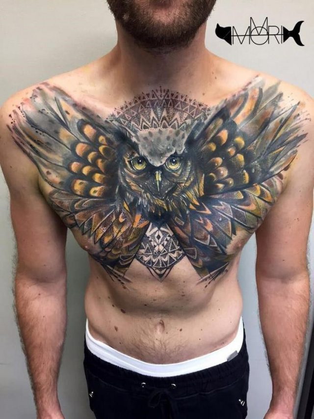 Owl chest cover up