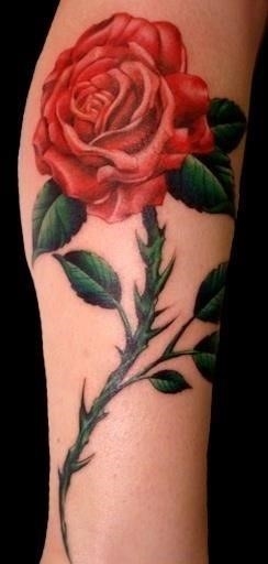 Red rose tattoo