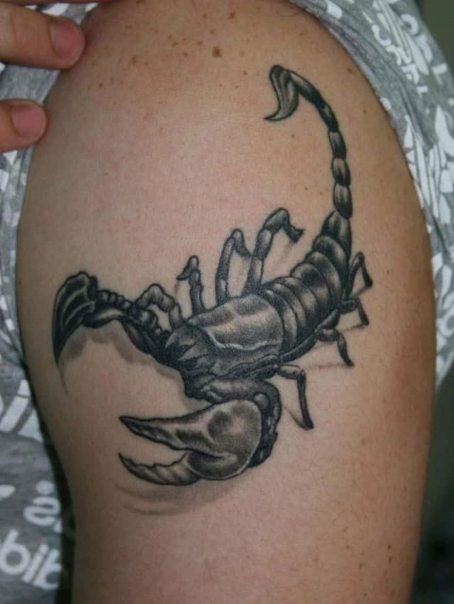 Scorpion tattoo art designs