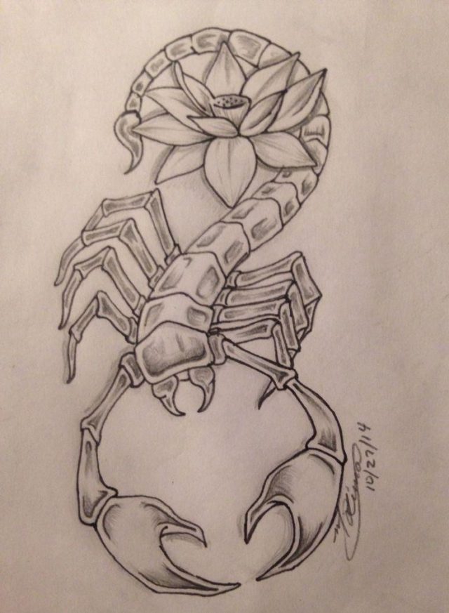 Scorpion tattoo drawing 52