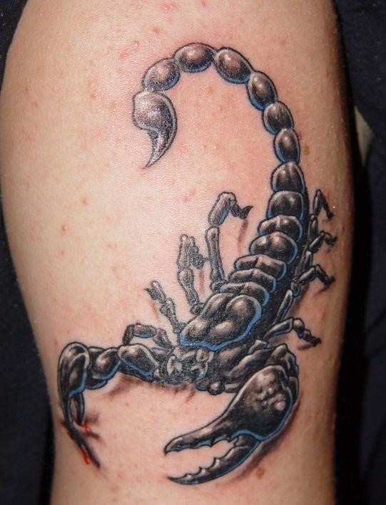 Scorpion tattoos 06