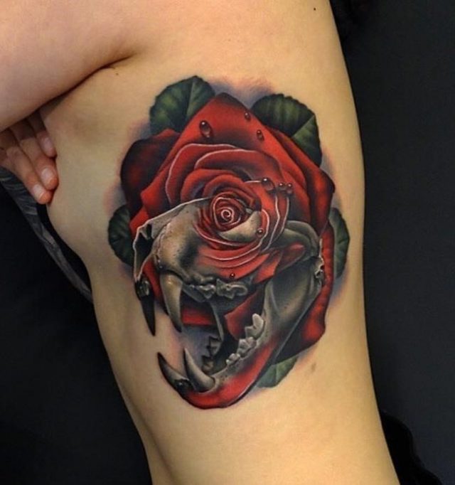 Tiger skull rose morph