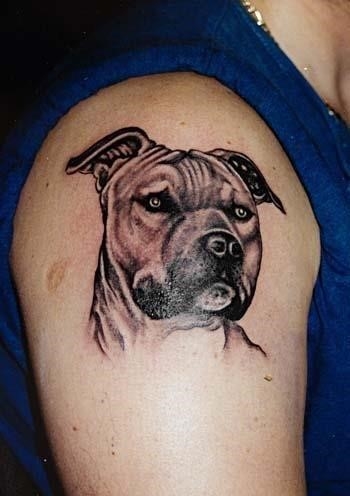 Wpid dog tattoo designs1